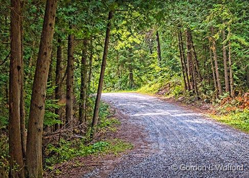 Ken Reid Conservation Area_01441.jpg - Photographed near Lindsay, Ontario, Canada.